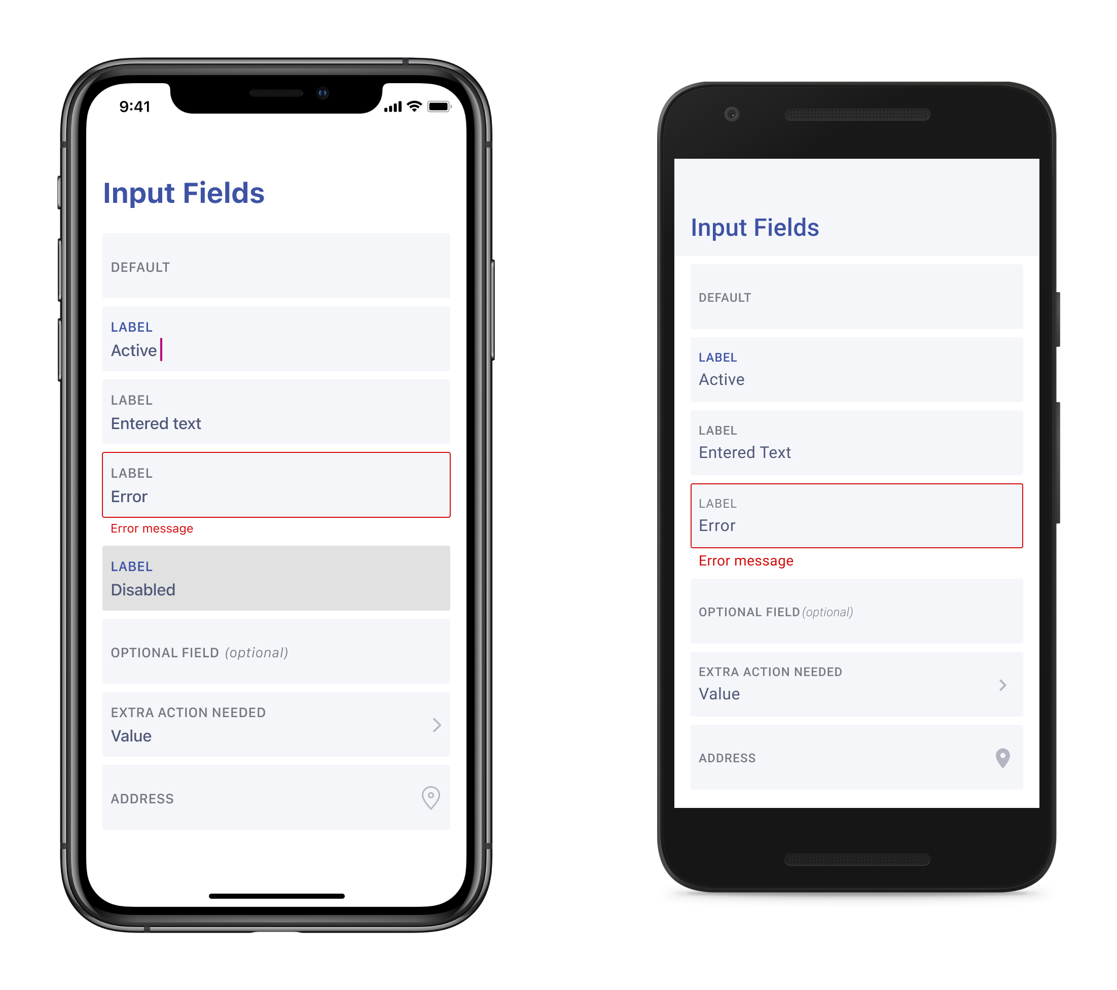 input field standards